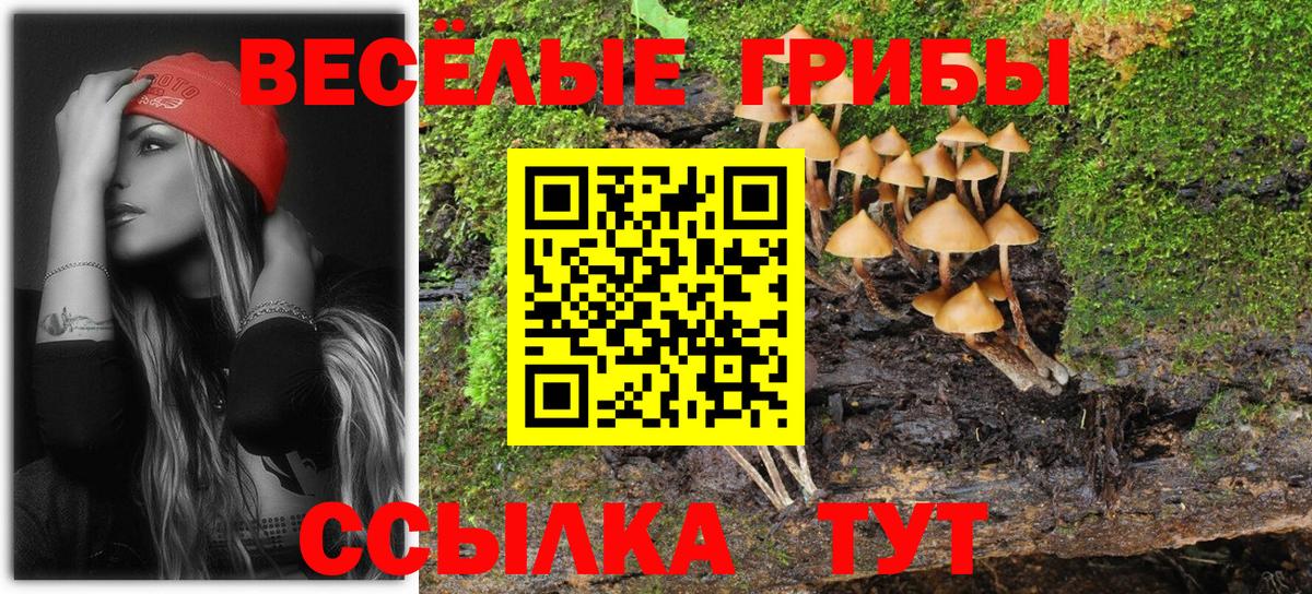 Галлюциногенные грибы Psilocybe Биробиджан